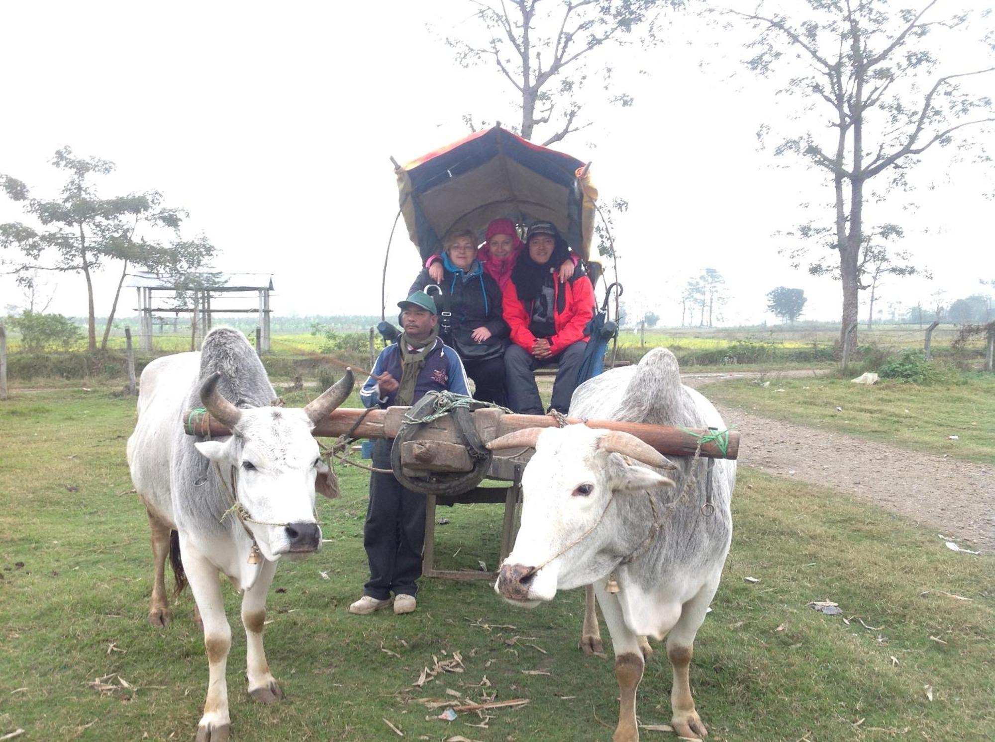 Everest Home Stay Apartment Lalitpur 外观 照片