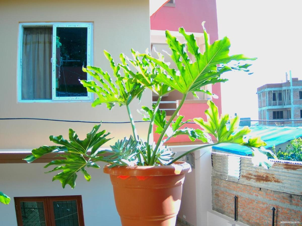 Everest Home Stay Apartment Lalitpur 外观 照片
